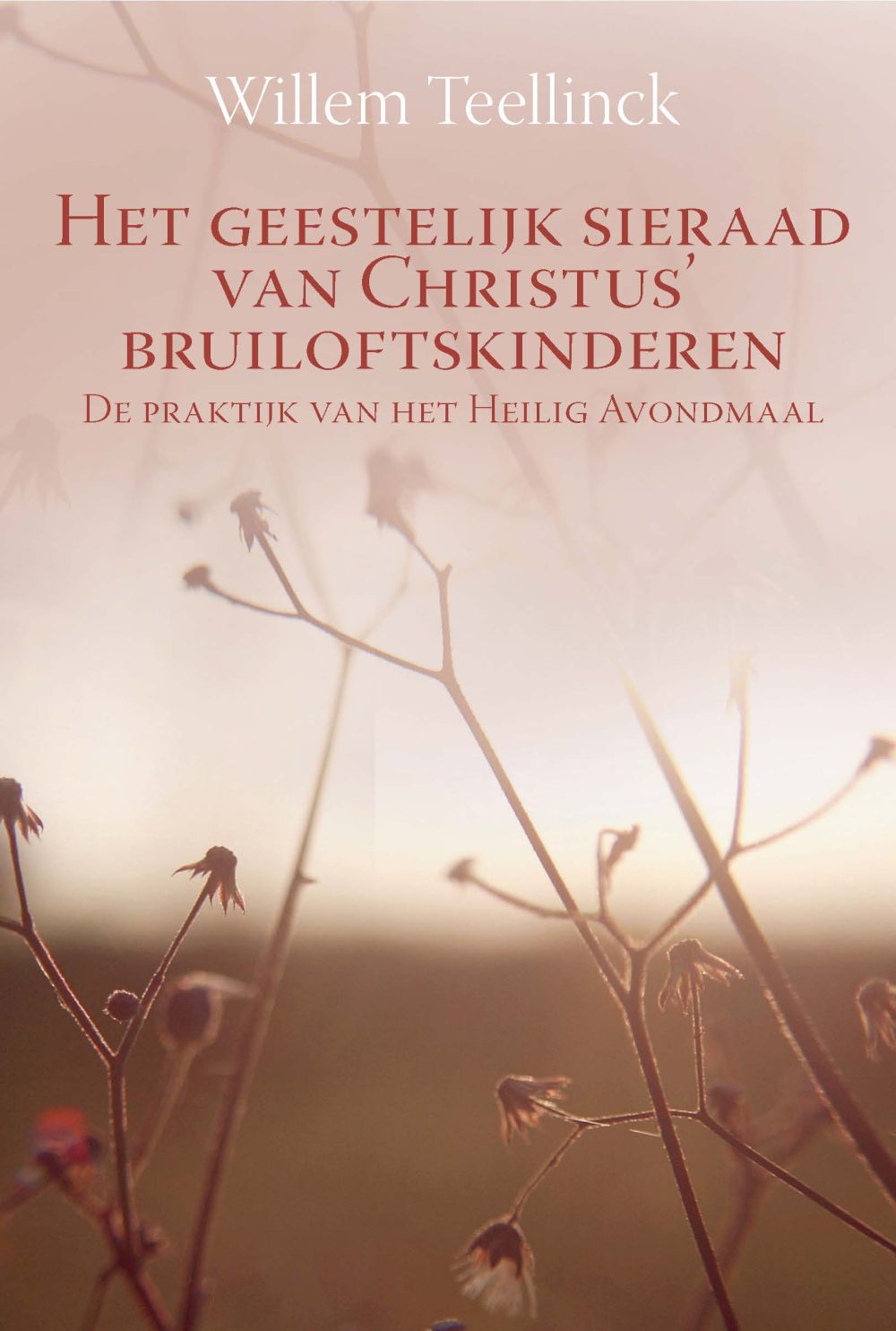 Het geestelijk sieraad van Christus’ bruiloftskinderen